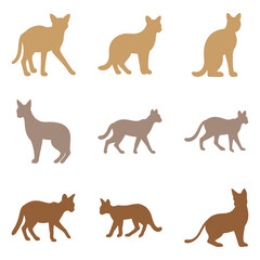 Simple Caracal Illustration Design Set