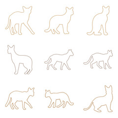 Outline Caracal Illustration Design Set