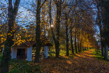 Fototapeta premium A small structure sits beside a path lined with trees in autumn foliage, bathed in warm sunlight.