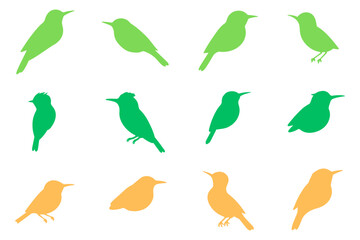 Simple Common Tailorbird Illustration Design Set