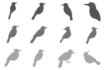 Simple Cuckoo Bird Illustration Design Set
