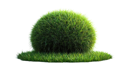 Grass Sphere: A perfectly formed sphere of vibrant green grass sits on a small patch of grass, creating a unique and visually appealing image.  Ideal for concepts related to nature, environment.