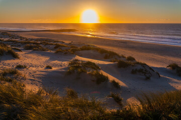 Obraz premium Sunset over a sandy beach with dunes and sea grass, creating a warm, golden light.