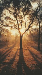 Minimalist Forest Scene with Lone Tree Under Warm Sunset Light