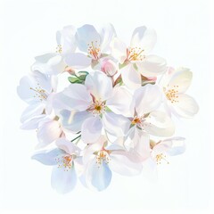 White blossoms bloom beautifully in springtime arrangement