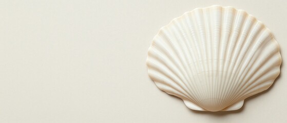 A beautiful, close-up view of a scallop shell against a neutral background. The intricate details of the shell create a sense of natural beauty and ocean inspiration.