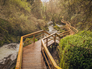 Wooden walkway winding through lush forest, with a stream flowing alongside, creating a serene and picturesque nature trail in Pindelo, Outeiro, Oliveira de Azemeis, Portugal