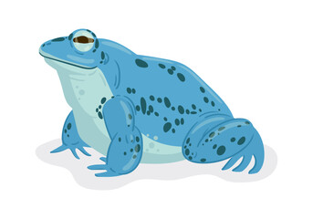 Cartoon frog. Tropical rainforest toad, amphibian animal, cute blue toad flat vector illustration. Toad on white background