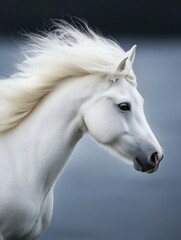 Obraz premium Majestic white horse with flowing mane near the water