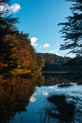 Fototapeta premium Reflection Laguna Don Manuel en Costa Rica