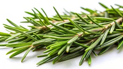 Fototapeta premium Fresh rosemary leaves scattered on a white background with a subtle texture, showcasing their distinctive needle-like shape and aromatic properties in detail , close-up, botanical photography