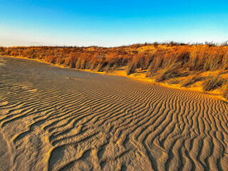 Wavy sand ridges created by waves and wind, touch the sand dunes and brush along the coast of Delaware Bay, Cape Henlopen State Park, Lewes, Delaware © Maureen
