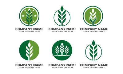 Collection of Green Nature-Inspired Logo Designs for Eco-Friendly Businesses
