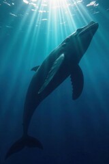 Fototapeta premium Massive Whale Silhouette Underwater, silhouette, mysterious, dark