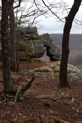 Ozark National Forest  Arkansas, USA
