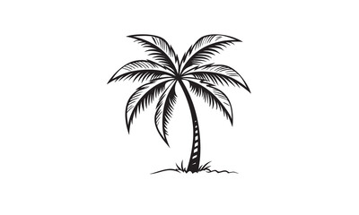 Palm Tree vector