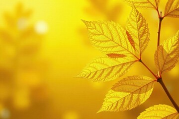 Fototapeta premium Sunny yellow leaf texture golden foil, nature, leaf