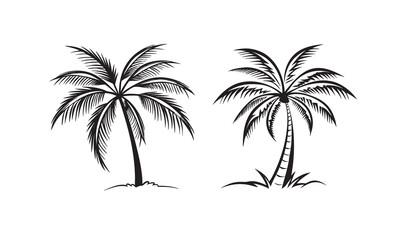 Palm Tree vector