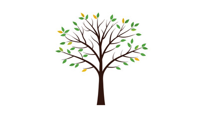 Obraz premium Palm Tree vector