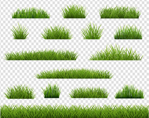 Grass Border Collection Transparent Background