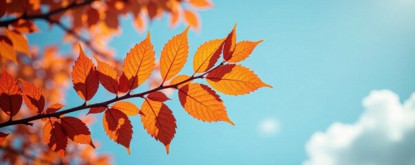Branch with vibrant orange leaves stretching towards the sky, foliage, seasonal change, autumn branch leaf colors