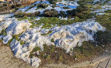 A snowy patch melting into green grass under bright sunlight creates a tranquil winter scene,...