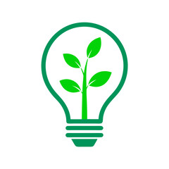 bulb with plant