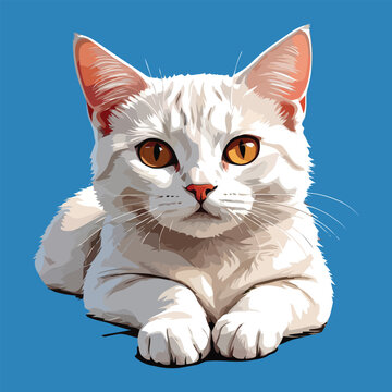 Aegean Cat in natural poses beautiful is sitting 