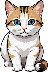 Obraz premium Beautiful Shots of Aegean cat rare Greek breed in sitting positions