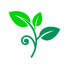 green plant icon