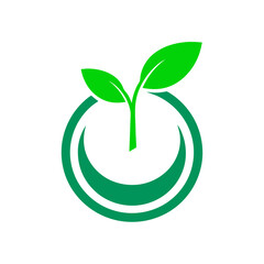 apple icon illustration