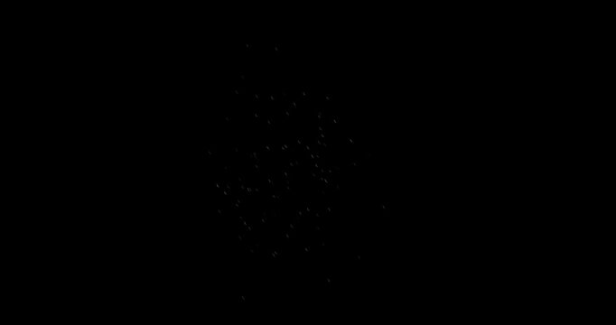 grass bomb simulation in black background