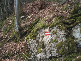 A forest trail marked with an Austrian flag symbol painted on a moss-covered rock. The scene features trees, fallen leaves, and natural woodland elements.