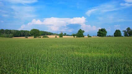 Aerial view of agricultural farms and crops fields. Agricultural landscapes from above depicting vibrancy of farms in Canadian soil. Planted corn and soy. Planting rows of crops during sun set.