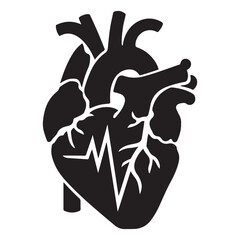 Anatomical heart vector silhouette icon. heartbeat, cardiovascular, anatomy, medical, health, cardiology illustration, biology, organ, human heart collection
