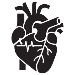 Anatomical heart vector silhouette icon. heartbeat, cardiovascular, anatomy, medical, health, cardiology illustration, biology, organ, human heart collection