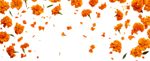 Marigold Shower: A captivating cascade of vibrant orange marigold flowers and petals gracefully falls against a blank canvas. The image evokes a sense of celebration, abundance.