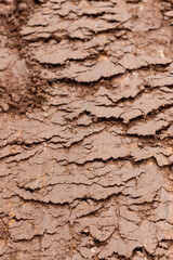 Wet mud texture close-up