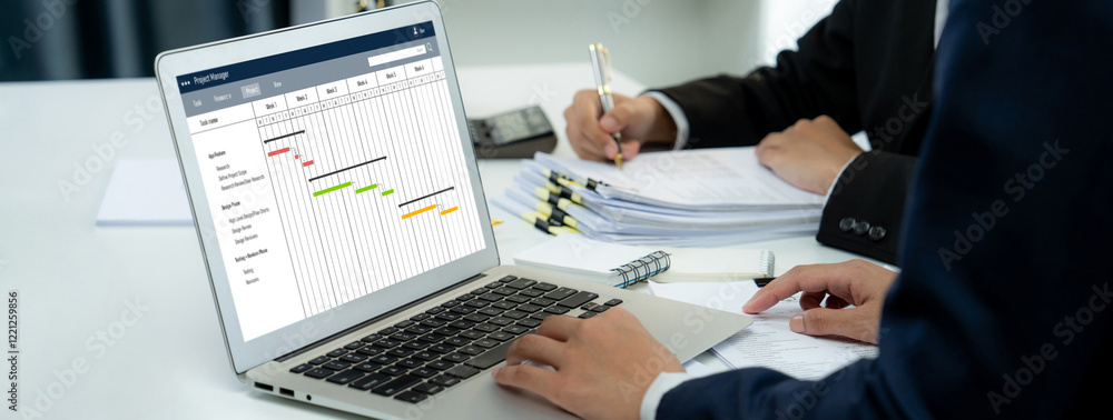 Poster project planning software for brisk business project management on the computer screen showing timel