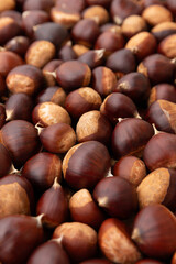 Close up of chestnuts on the market