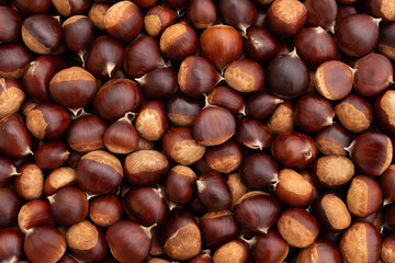Background of chestnuts