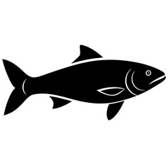 fish isolated on white