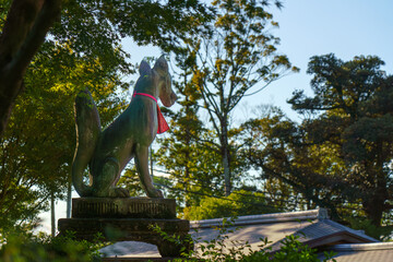 Kyoto, Japan - Sep 23 2024, A close-up view of the statue of a Japanese fox, kitsune, holding a golden object in its mouth, at the Fushimi Inari Temple Kyoto, Japan
