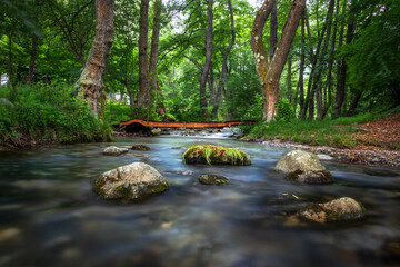 Fototapeta premium Small river in the forest and red iron bridge