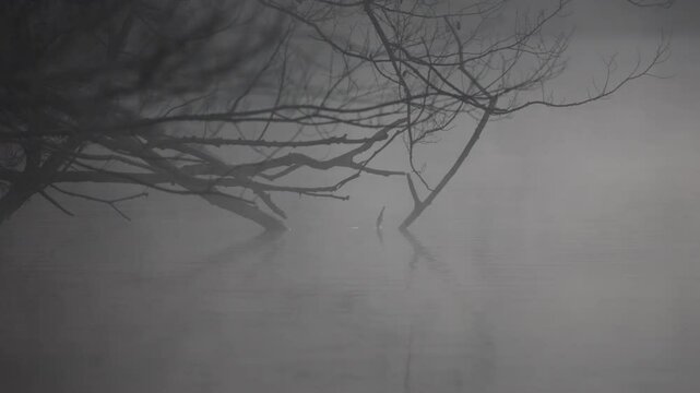 water vapor in the morning on the surface of the river adda	