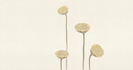 Lotus flower and leaf. nature art. drawing artwork. botanical background.	