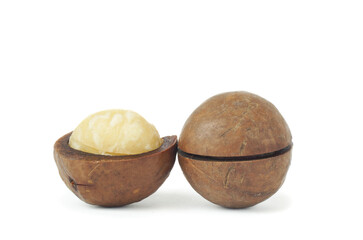 macadamia nuts on white background