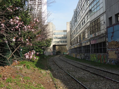 Petite Ceinture in Paris - 19th arrondissement