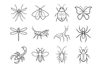 Fototapeta premium Insects and Arachnids line art Bundle