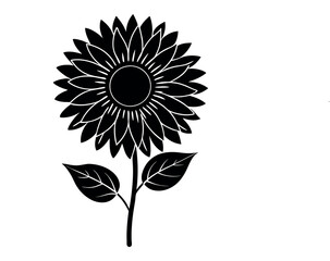 sunflower illustration vector